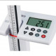 Detecto Scale 225Kg Electronic
