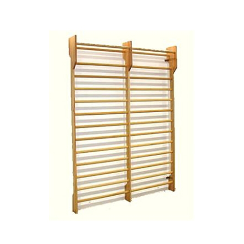 Wall Double Stall Bar