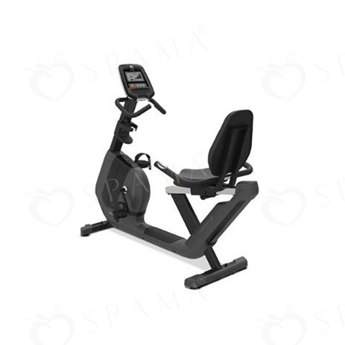 Vertical Bike W / Back