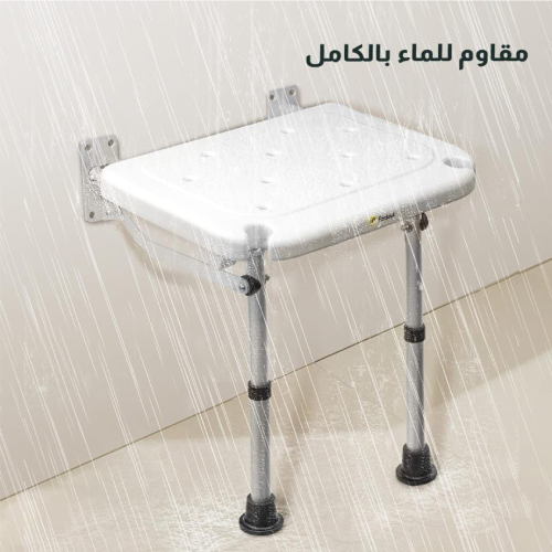 Wall-mounted shower chair