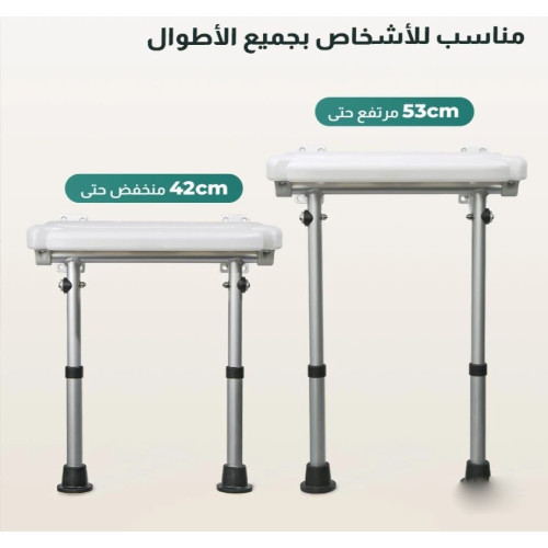 Wall-mounted shower chair