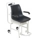 Detecto Digital Chair Scale 6475