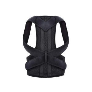 حزام ظهر كامل ارينا B003