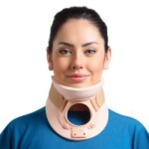 فلامينجو مثبت رقبة فيلاديفيا 2009 فلامينجو مثبت رقبة فيلاديفيا 2009