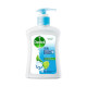 Dettol Liquid Soap Cool 400 ml
