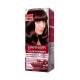 Garnier Intensity Color Hair Dye 3.5 Dark Brown