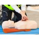 Head Immobilizer Flat Blue