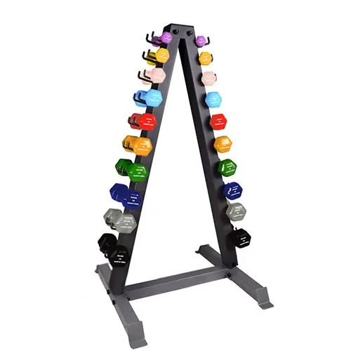 SPACARE Dumbbells Rack Complete with Weights from 1-10LB(pair)