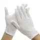 Cotton Gloves