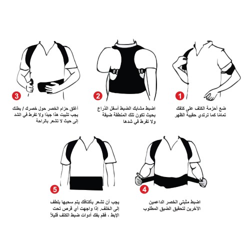 حزام ظهر كامل ارينا B003