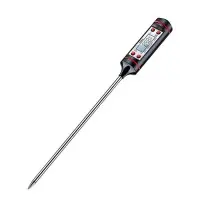 Electric Liquid Thermometer