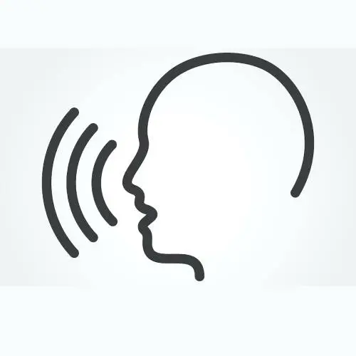 Elevator Speaking Device