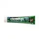 Closeup toothpaste green 120 ml