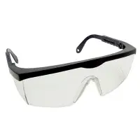 Lab Goggles