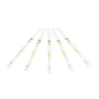 Combur Urine Test 10