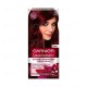 Garnier Intensity Color Hair Dye 4.6 Intense Dark Red