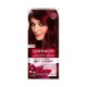 Garnier Intensity Color Hair Dye 4.6 Intense Dark Red