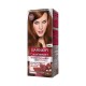 Garnier Intensity Color 6.42 Amber Brown